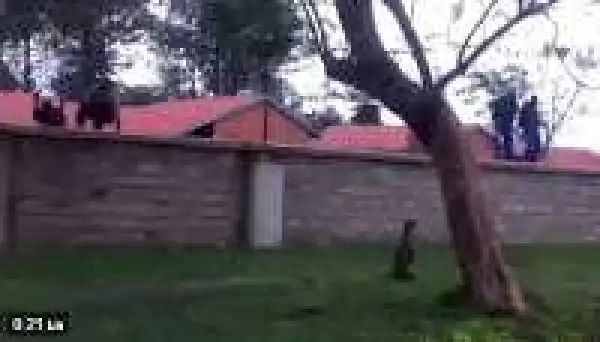 Pandemonium as over 100 mental patients escape from pyschiatric hospital